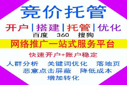 SEM竞价代运营实战技巧与案例